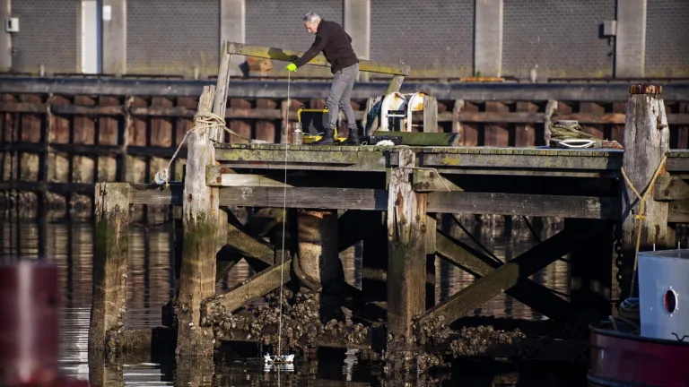 Samples in IJmuiden