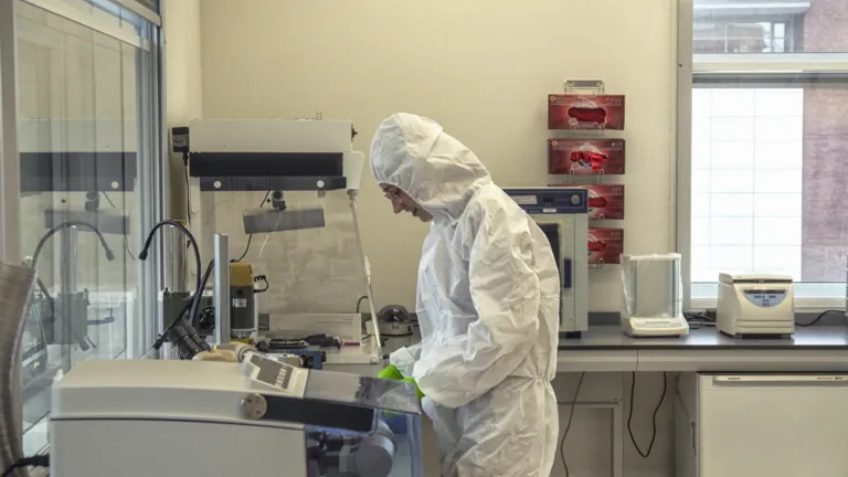 lab