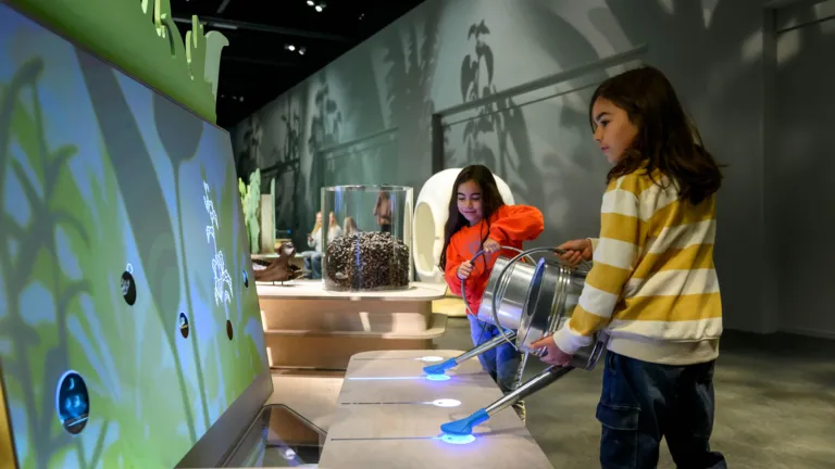 Interactives