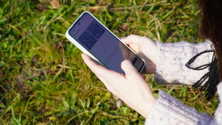 telefoon die soorten herkent - waarneming.nl