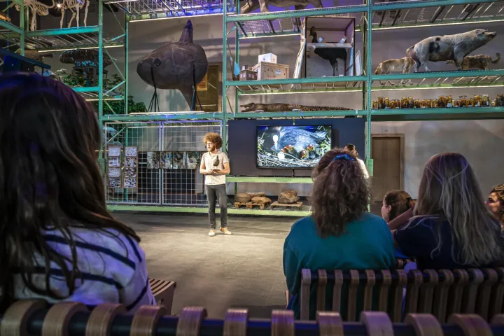 Auke-Florian in LiveScience