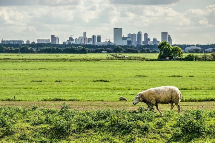 Stad en land in samenhang