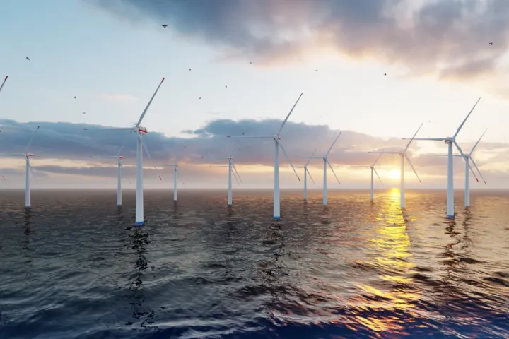 Foodwebs North Sea