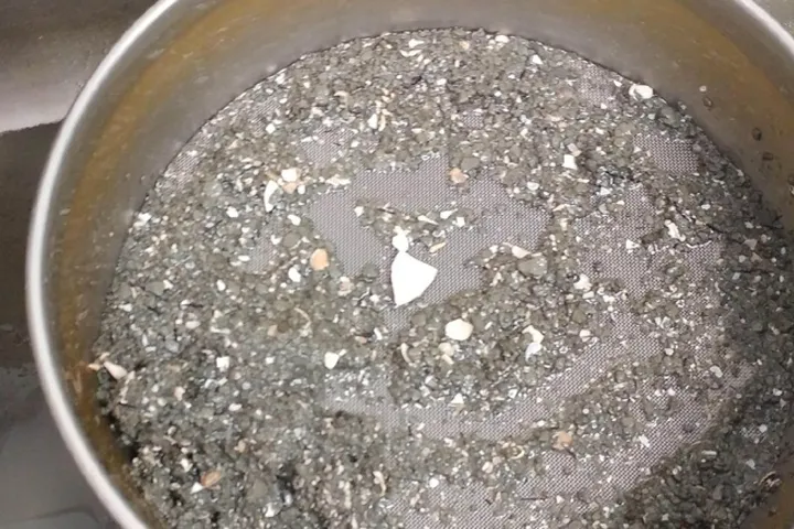 Minifossielen