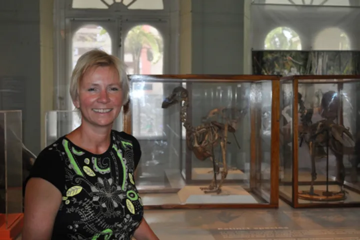 In de dodo gallery