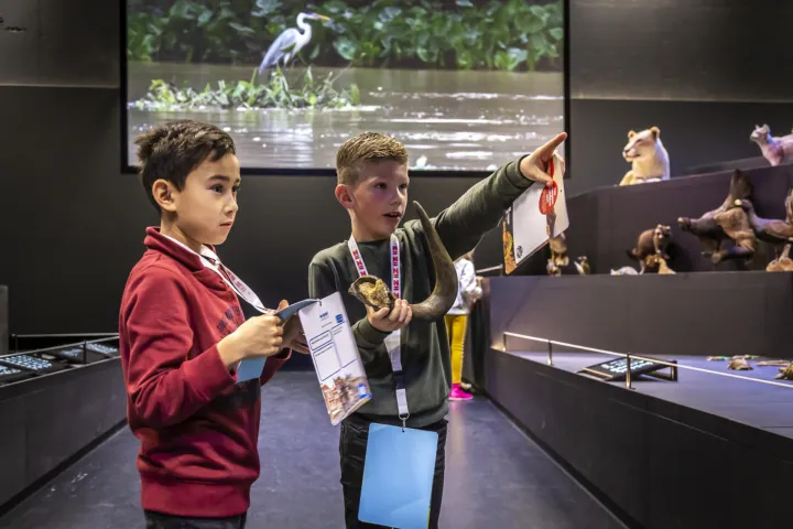 Children in Life gallery