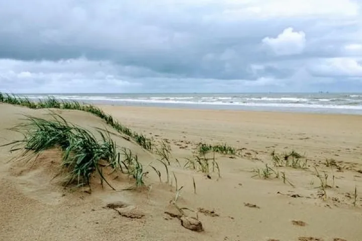 Sandy beach 