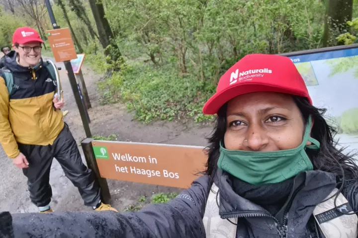 Naturalis-museummedewerkers zijn actief in natuurgebieden van Staatsbosbeheer (bron: Reshma Dijkstra)