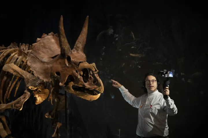 Dino lab