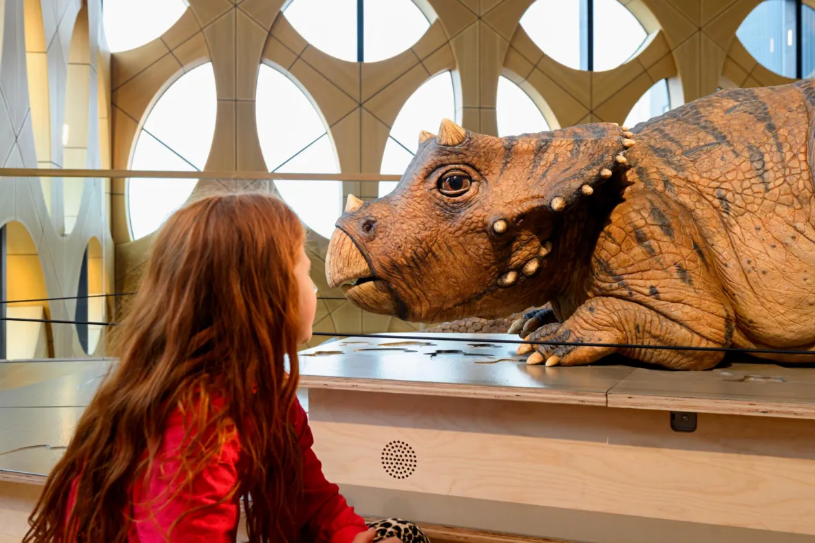 Triceratops in Naturalis