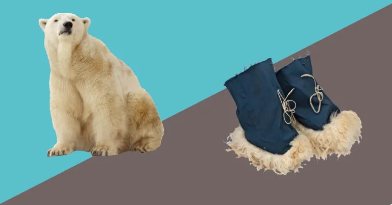 aankondiging vierde editie Werelddieren