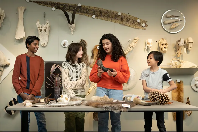 Leerlingen in de Werkplaats van Naturalis