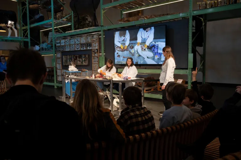 Preparatie Becky in LiveScience