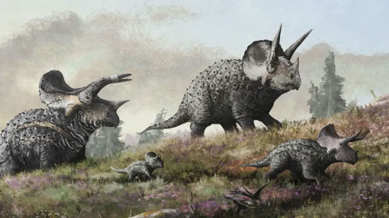 triceratopsen