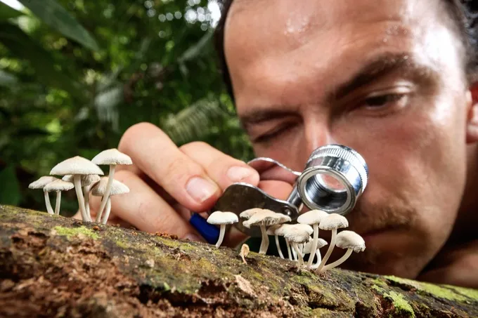 Jozef onderzoekt paddenstoelen met vergrootglas