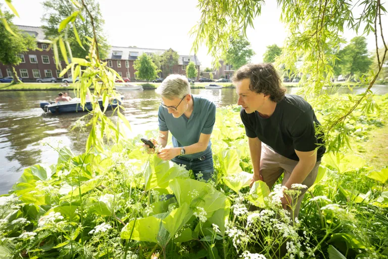 Frederic Lens en Jordy Janssen gebruiken obsidentify tijdens Expeditie Stadsnatuur