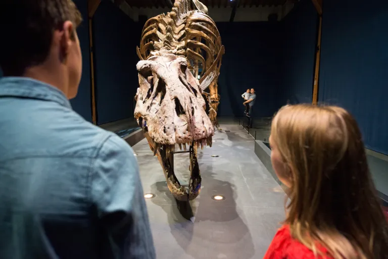 Oog in oog met T. rex Trix