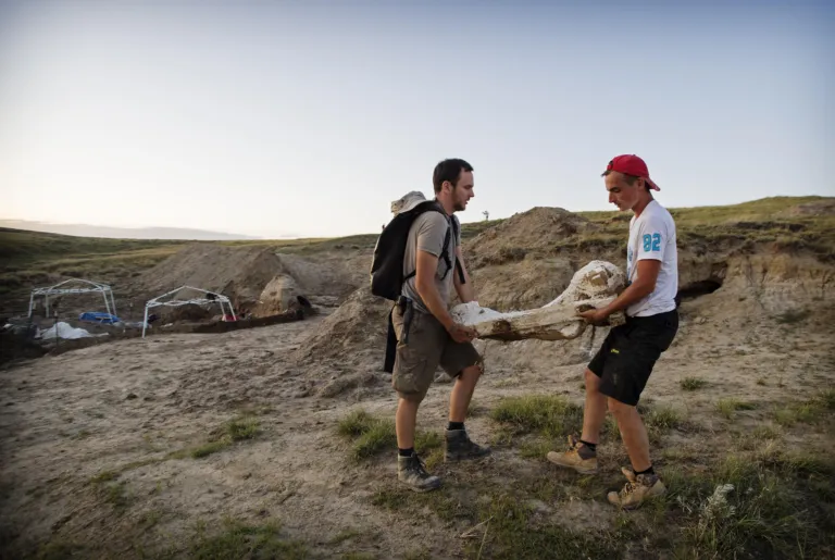 Paleontologists with bone