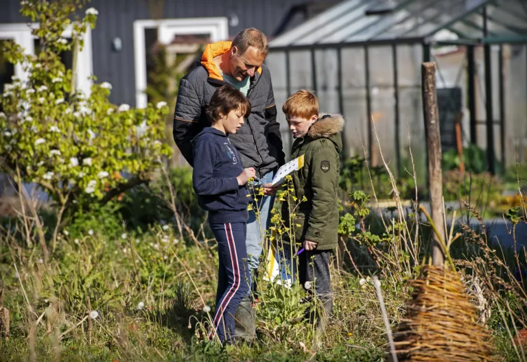 Jong en oud trekt erop uit naar buiten om bijen te tellen