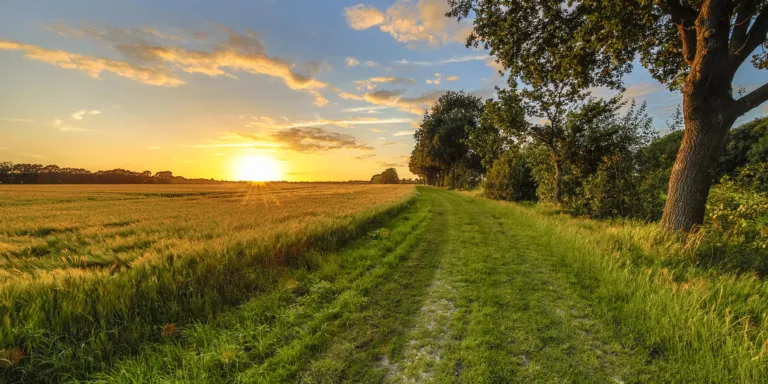 Getty 961285594 CreativeNature_nl