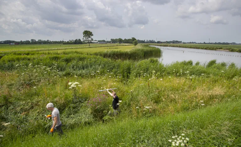 Natuurvriendelijke oever (Bron: Krijn Trimbos, BioMon)