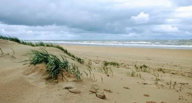 Sandy beach 