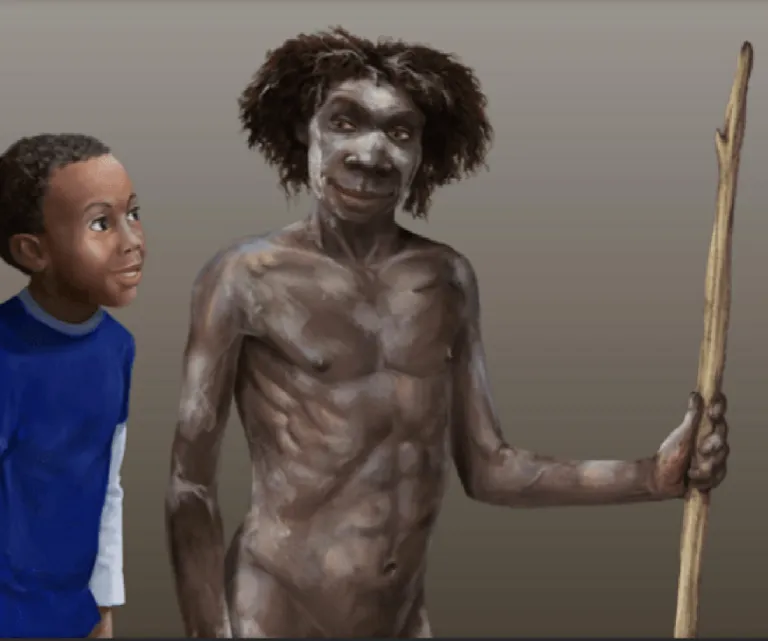 Turkana boy