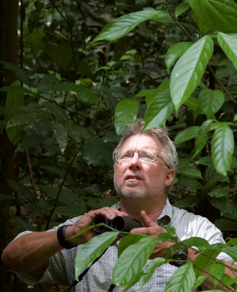 Hans ter Steege in French Guyana
