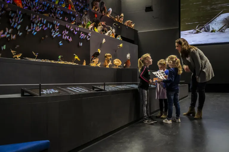 Group in gallery Life