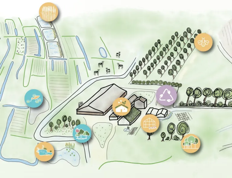 Schematisch overzicht van maatregelen die je kunt toepassen in de landbouw