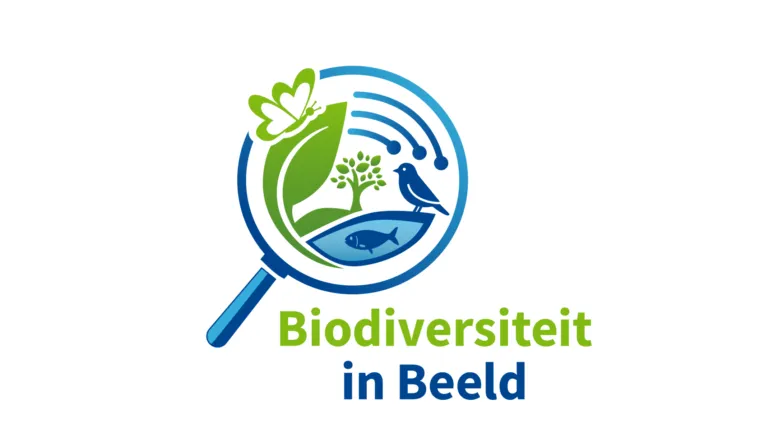 Logo BiB